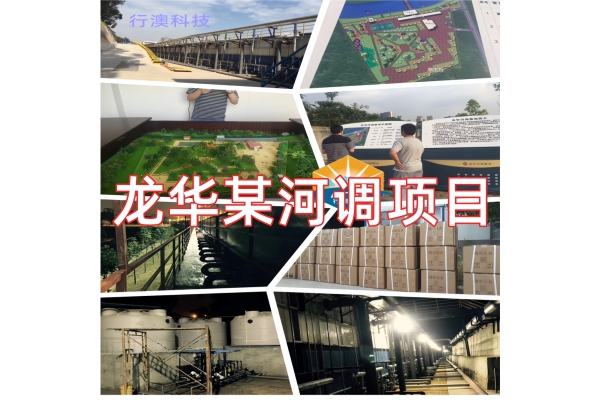 龙华某河调项目